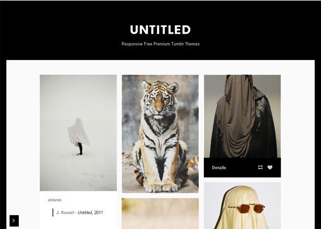 header one tumblr themes column Themes for Photographers 25  Tumblr Responsive
