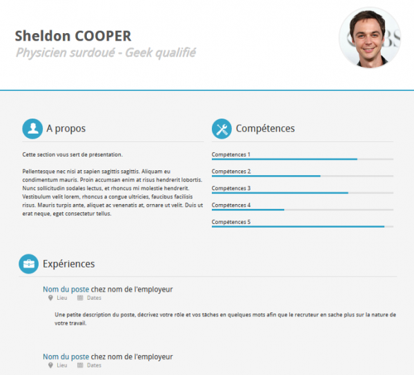 21 professional html  u0026 css resume templates for free download  and premium